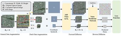 A brain-inspired approach for SAR-to-optical image translation based on diffusion models